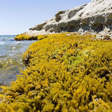Casotto Il Carrubo, A 100 Mt Dal Mare! Villa Avola Exteriör bild