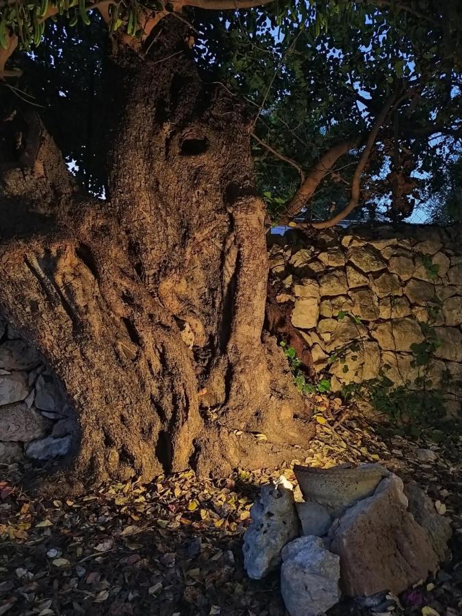 Casotto Il Carrubo, A 100 Mt Dal Mare! Villa Avola Exteriör bild