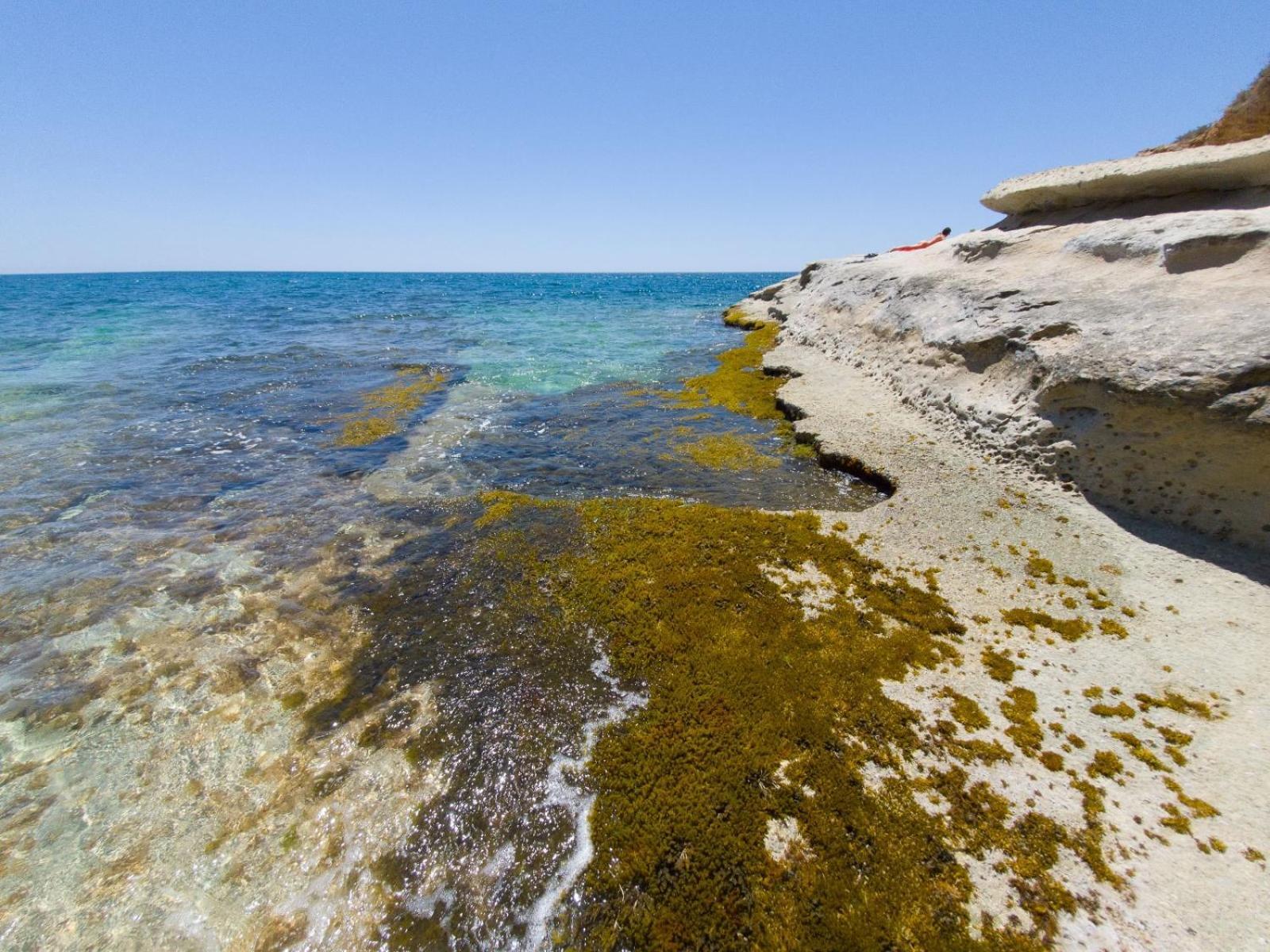 Casotto Il Carrubo, A 100 Mt Dal Mare! Villa Avola Exteriör bild